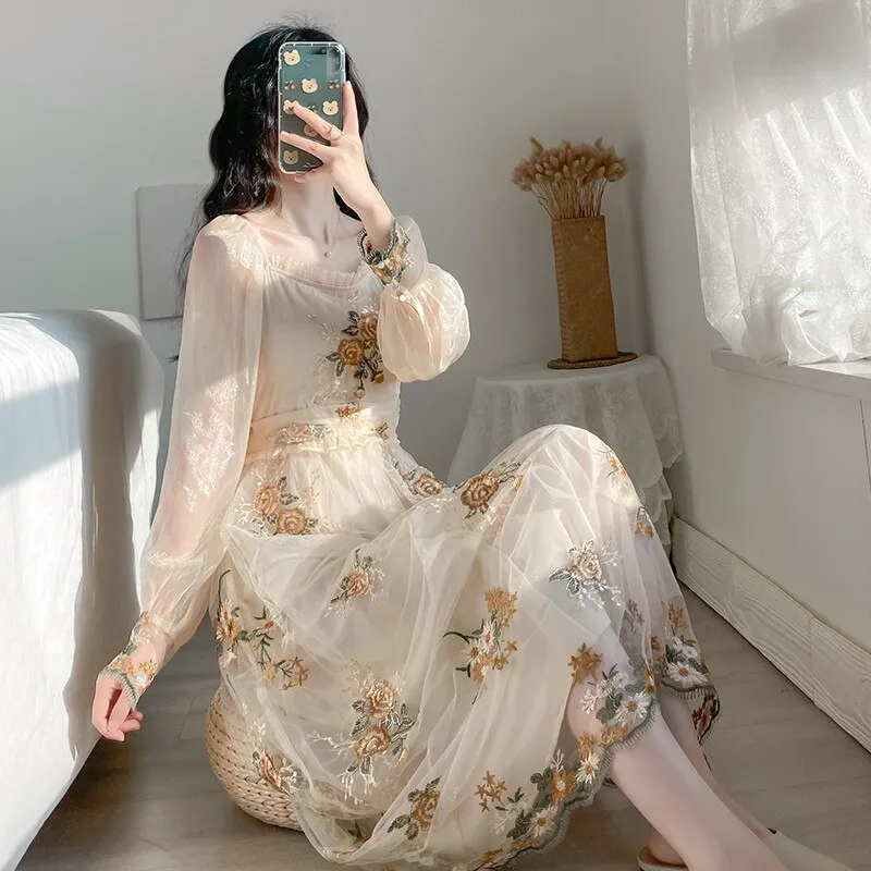 Vintage Mesh Graceful Fairy Dress